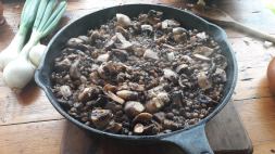 Mushroom and lentil main